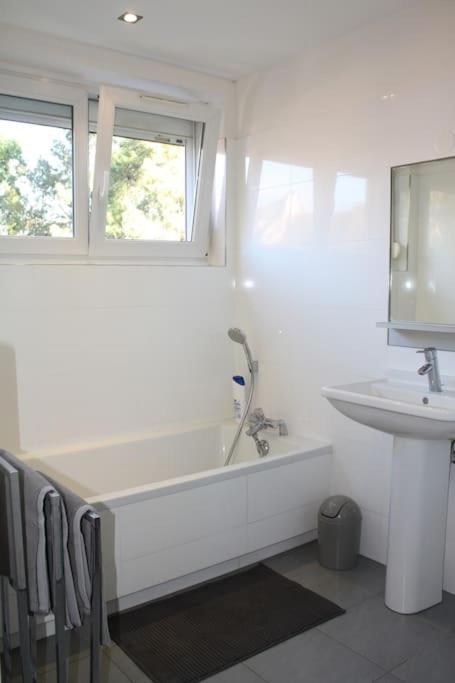 Superb Apt- Garden- 3 Parkings, Near Petite Venise ! Colmar Exterior photo
